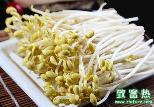 七種日常生活中的“有毒”蔬菜