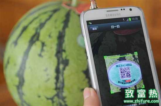 農(nóng)產(chǎn)品電商重營銷更要重質(zhì)量