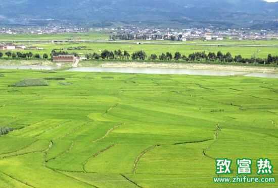 未來養殖業未來發展5大趨勢