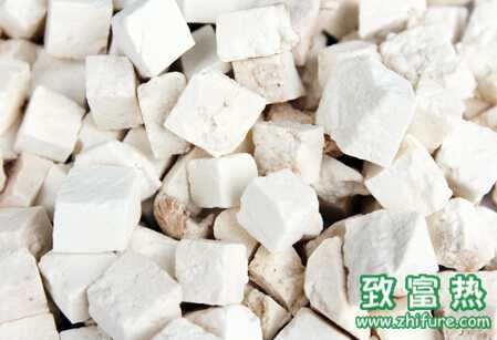 茯苓的科學栽培管理