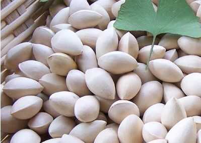 銀杏果營養(yǎng)價值