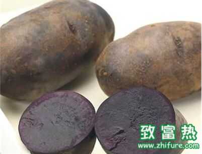 三個(gè)農(nóng)村“特色”種植項(xiàng)目