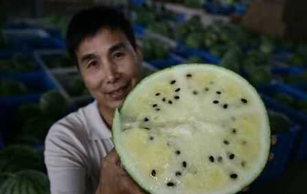 雙色冰激凌西瓜