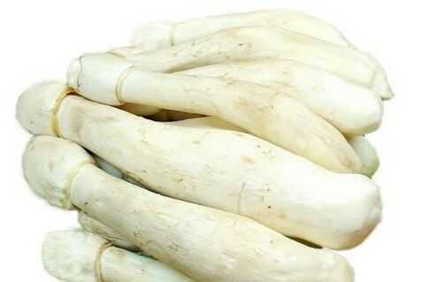 雞腿菇營(yíng)養(yǎng)價(jià)值