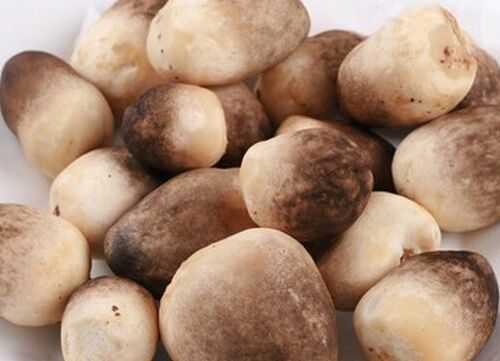 草菇的營養(yǎng)價(jià)值