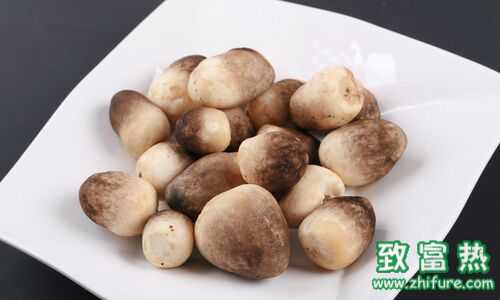 孕婦可以吃草菇嗎？草菇孕婦吃怎么做？