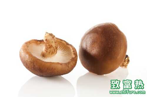 香菇的做法大全，香菇燉雞，香菇油菜等香菇家常做法