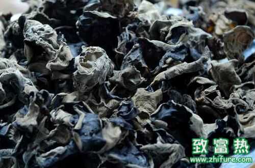 黑木耳功效與作用及食用方法，黑木耳營養價值與食用禁忌