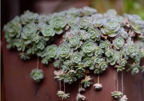 30個2016熱門生意和創(chuàng)業(yè)項目推薦