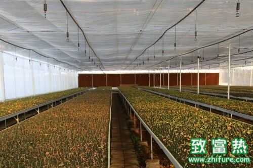 2016農(nóng)村創(chuàng)業(yè)怎么選項目？