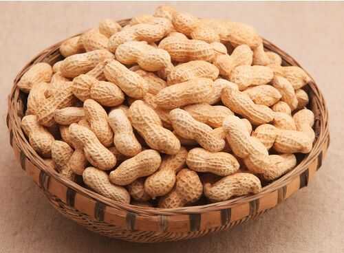 2016種花生賺錢嗎?