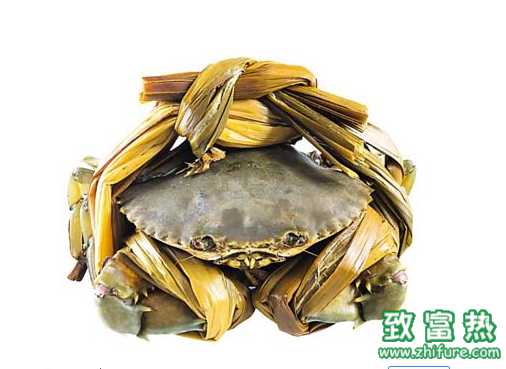 鋸緣青蟹池塘養(yǎng)殖技術(shù)