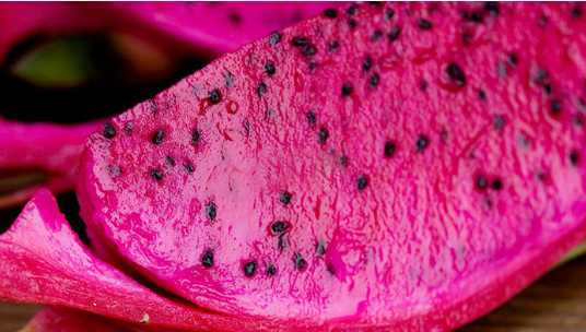 火龍果的營養價值和功效 如何挑選火龍果