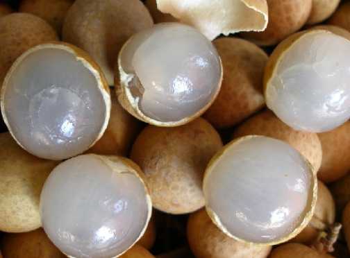 龍眼的營養(yǎng)價值和功效 桂圓的價值與功效