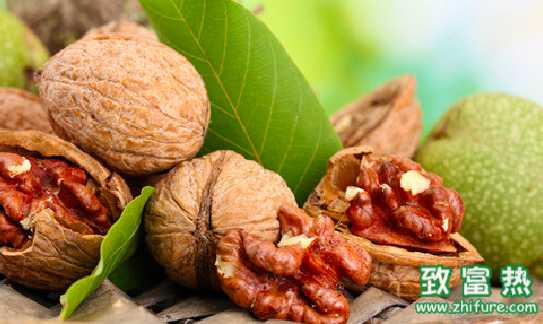 核桃的營(yíng)養(yǎng)價(jià)值和功效 每天吃多少核桃最合適