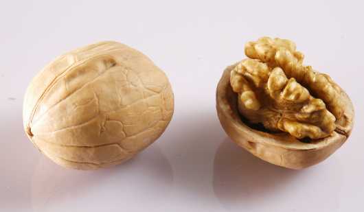 核桃的營養價值和功效 每天吃多少核桃最合適