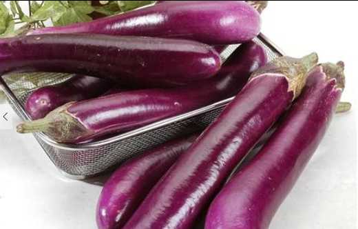 茄子的營養價值和功效 如何挑選新鮮的茄子