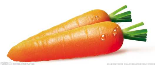 生吃胡蘿卜能長高嗎？胡蘿卜有什么營養？