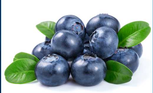 藍莓的營養價值和功效 藍莓的儲存方法