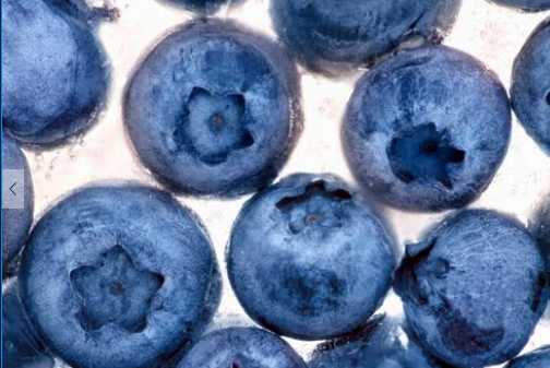 藍莓的營養價值和功效 藍莓的儲存方法
