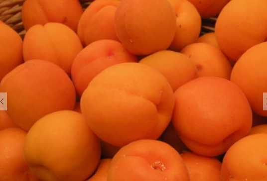 杏樹以及果實的營養價值和功效