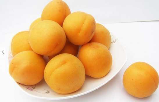 杏樹以及果實的營養價值和功效