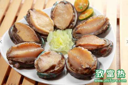 鮑魚的營養價值和功效 鮑魚的食用方法