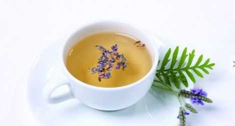 丹參的功效 丹參的食用方法和禁忌