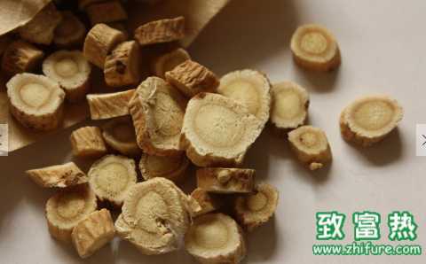 黨參的功效與作用 黨參的生長習性