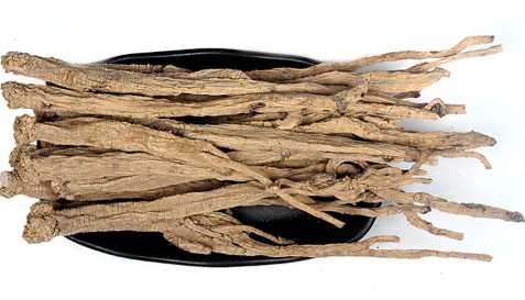 黨參的功效與作用 黨參的生長習性