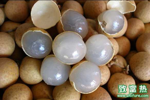 龍眼和桂圓的區別？龍眼不能和哪些水果一起吃？