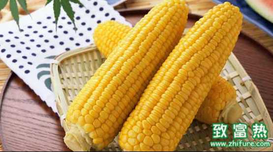 玉米須能降血壓嗎？玉米的功效與作用？