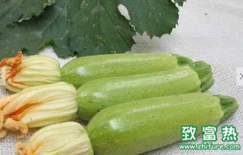 西葫蘆的營養與功效 西葫蘆可以食用嗎