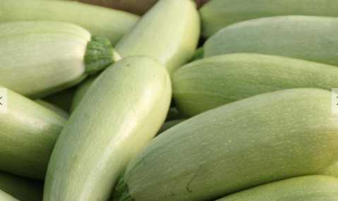 西葫蘆的營養與功效 西葫蘆可以食用嗎