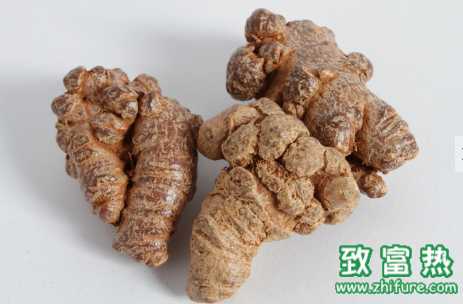 三七的功效與作用 三七的用法和用量