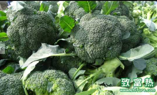 西蘭花的營養價值和功效 西蘭花的根莖可以食用嗎