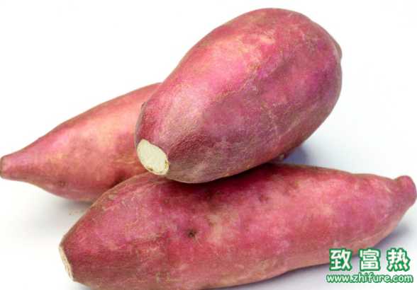 紅薯發(fā)芽了還能吃嗎，紅薯怎么保存？