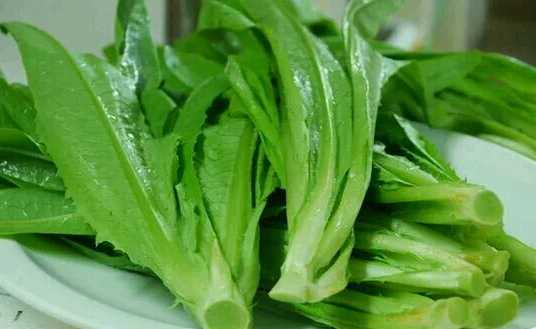 油麥菜的營養價值和功效 炒油麥菜需要注意什么