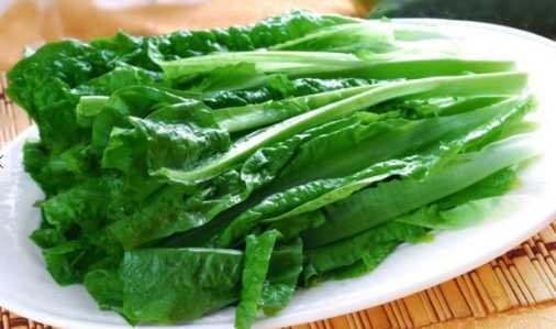 油麥菜的營養價值和功效 炒油麥菜需要注意什么