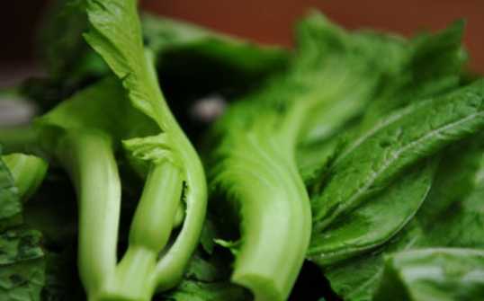 雪菜的營養(yǎng)價(jià)值和功效 雪菜的食用禁忌