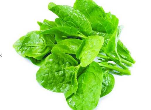 木耳菜的營(yíng)養(yǎng)價(jià)值和功效 木耳菜的挑選方法