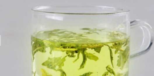 冬瓜的營養價值與功效 冬瓜荷葉茶真的能減肥嗎