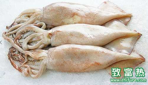 魷魚的營養價值 哪些人不適合食用魷魚干