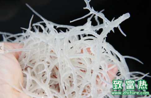 石花菜的營養價值和功效 瓊脂是什么