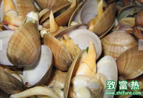 蜆有什么用途 尖椒炒蜆肉的做法