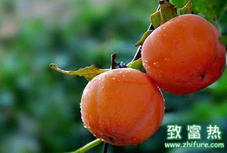 腸胃不好時哪幾種水果不適宜食用