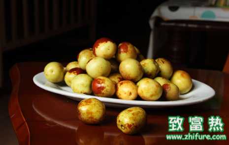 棗樹及棗的價(jià)值與作用 紅棗的食療功效