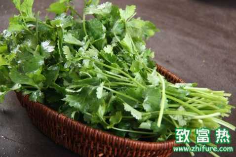 香菜的食用和藥用價值 香菜中揮發油可去腥味