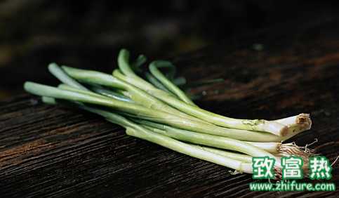 蔥不適合和什么食物搭配