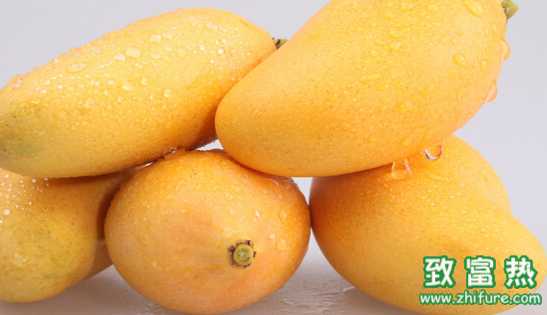 芒果不可以和什么一起吃？芒果要怎么切？